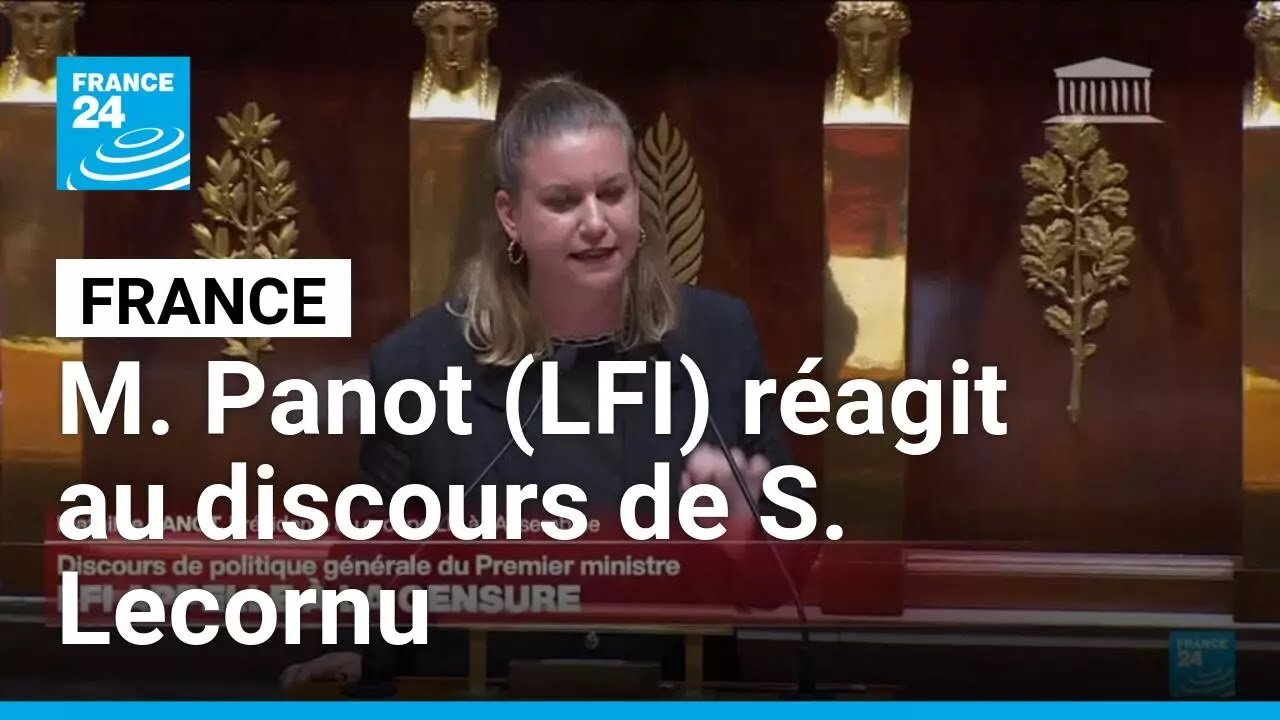 France : Mathilde Panot (LFI) réagit au discours de politique générale • FRANCE 24