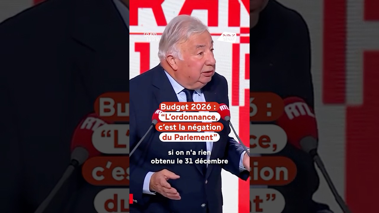 « L’ordonnance, c‘est la négation du Parlement, voilà pourquoi le Parlement doit être raisonnable »