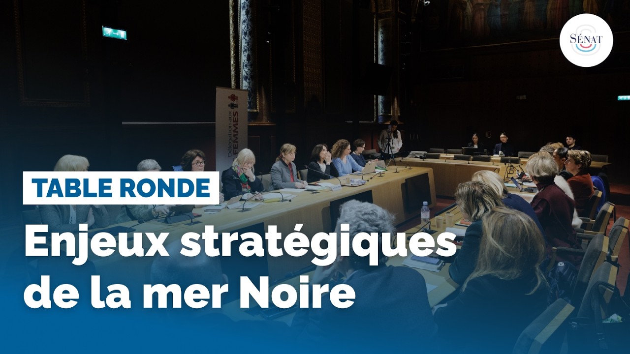 Enjeux stratégiques de la mer Noire