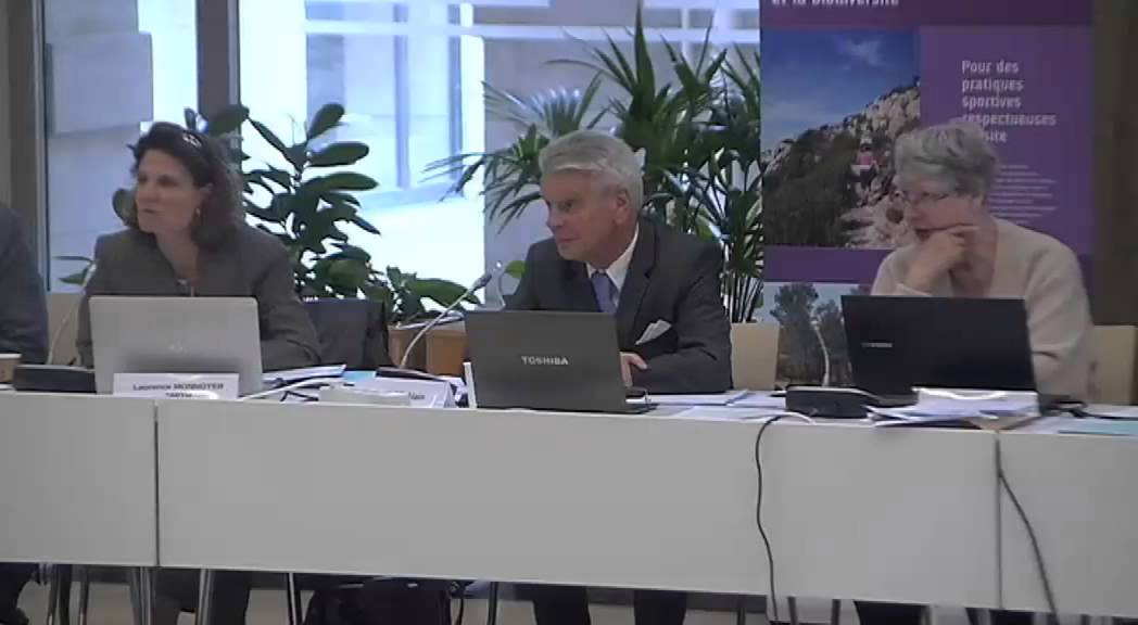 Démocratie Participative : audition 30 avril 2015