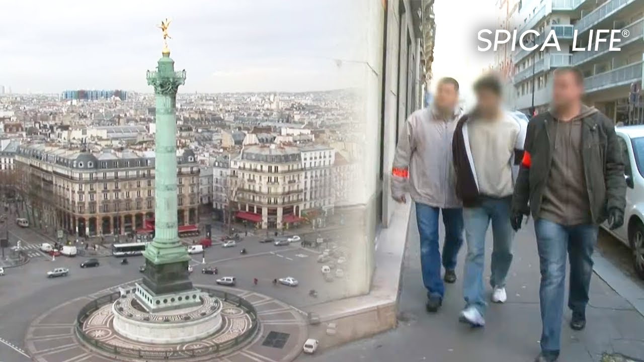 Insécurité urbaine : la peur s'installe en ville !